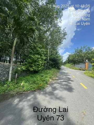 Bán đất có thổ cư khu vực Bàu Bàng giá đẹp