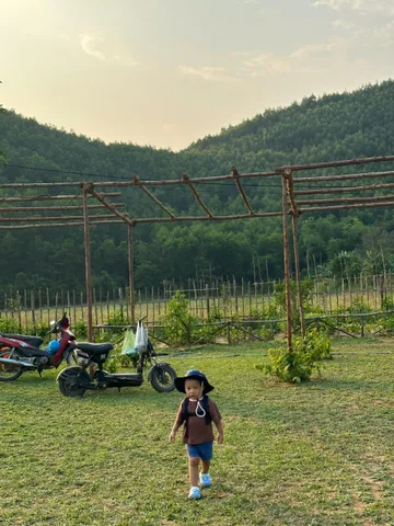 Bán Đất Vườn Suối Mơ Hòa Bắc 📌📌📌LÀM VIỆC TRỰC TIẾP GIÁ TỐT !!!