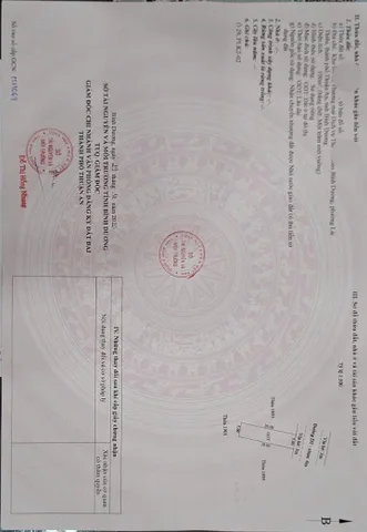 Bán đất 100m² full thổ cư ngang 5m giá 5.6 tỷ tại Đường D2 Phường Lái Thiêu