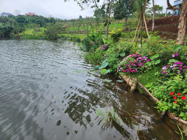 Bán khu đất view hồ Di Linh thích hợp làm homestay và làm sinh thái nghỉ dưỡng.. Vv