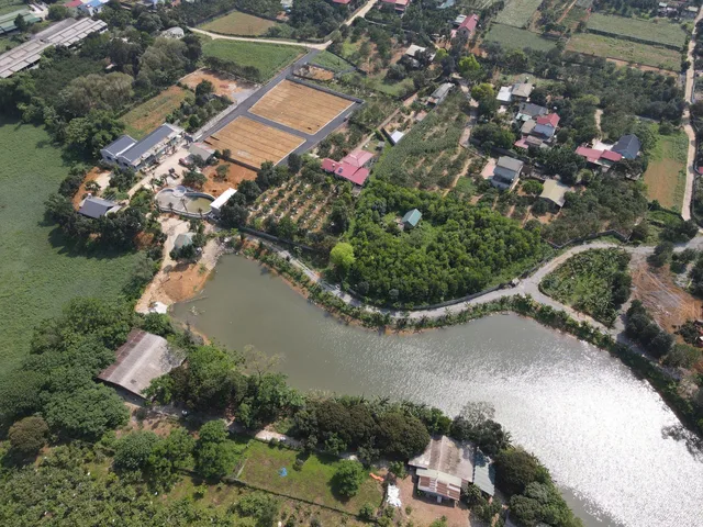 🎯 Đất Nền Phú Thành Giá F0: Chỉ Từ 500 Triệu Sở Hữu Vị Trí Vàng Đắt Giá Nhất Lạc Thủy.