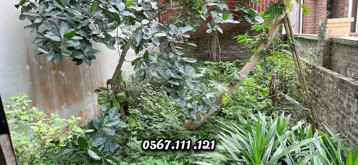 🍀 🍀 Bán 44m2 Đất Cổ Điển, Hải Bối – 1 phút ra Cầu Thăng Long – Dân Cư Sầm Uất
