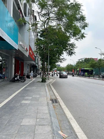 Bán Nhà riêng 46m² thổ cư 46m² giá 12.9 tỷ tại Đường Chùa Bộc Phường Kim Liên Quận Đống Đa Hà Nội