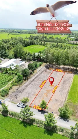 Bán Đất 300m² giá 490 triệu tại Đường Tỉnh lộ 909 Xã Ngãi Tứ Vĩnh Long