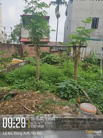 Bán Đất Lê Xá 47,3m² giá 5.2 tỷ tại Xã Đông Anh Hà Nội cách Vin Cổ Loa 1km