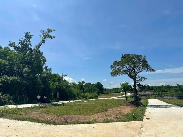 Bán Đất 90m² giá 531 triệu tại Đường Dạ Lê Phường Thủy Phương Thị xã Hương Thủy Thừa Thiên Huế