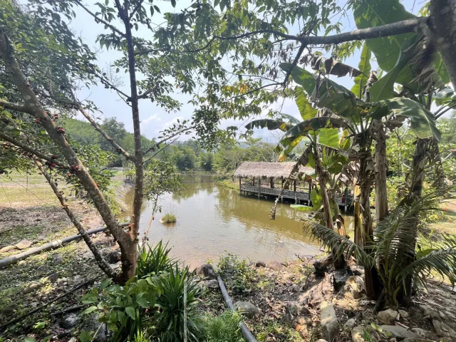 Farm Hòa Bắc 14714m2 giá 5 tỷ 500 📌📌📌LÀM VIỆC TRỰC TIẾP GIÁ TỐT !!!