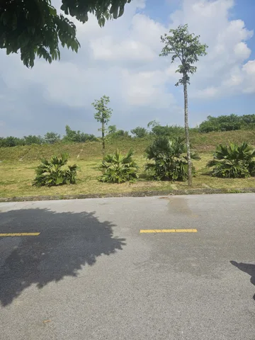 Bán Đất 65m² thổ cư 65m² giá 15.28 tỷ tại Phường Nhị Châu Thành phố Hải Dương Hải Dương