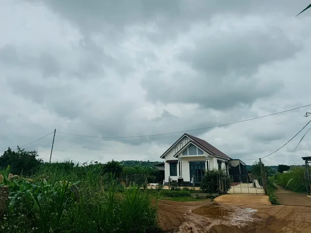 Đất Trung Tâm Nam Ban với DT: 615m². Sẵn thổ cư 200m². Giá 3 tỷ.  Cách chợ Nam Ban đúng 600m