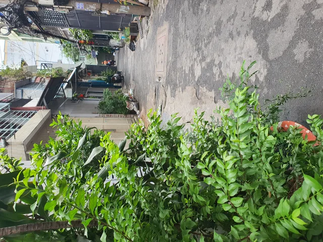 Bán Nhà riêng 18m² thổ cư 18m² giá 4.35 tỷ tại Đường Bạch Mã Phường Diên Hồng TP. Hồ Chí Minh