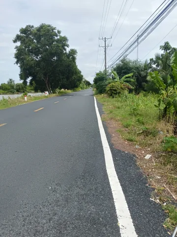 Bán Đất 80000m² thổ cư 50m² giá 2.4 tỷ tại Đường 986A Xã Cái Nước Cà Mau