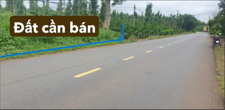 Bán Đất 7300m² thổ cư 50m² giá 18 tỷ tại Xã Thanh An TP. Hồ Chí Minh