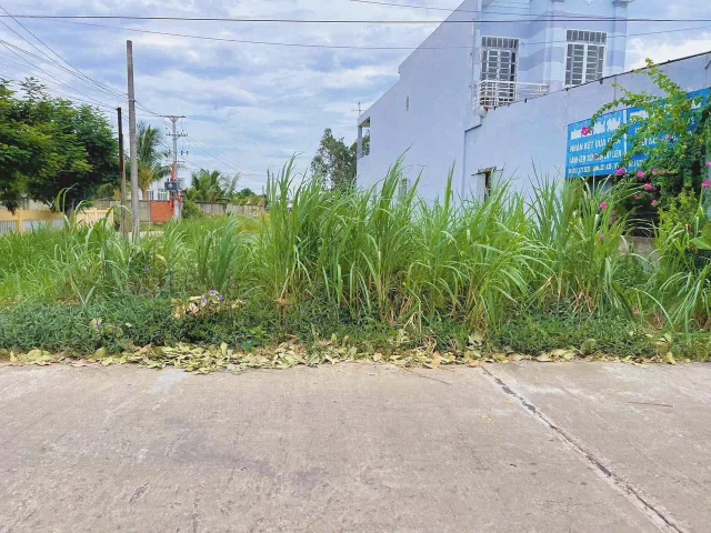 Bán Đất 100m² thổ cư 100m² giá 1.16 tỷ tại Xã Đại Lộc Đà Nẵng