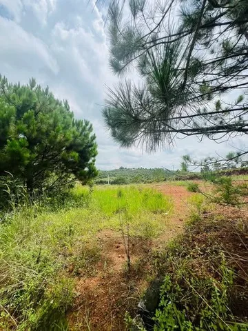 Bán  2lô đất đẹp - hẻm Lý Thường Kiệt phường 1 Bảo Lộc