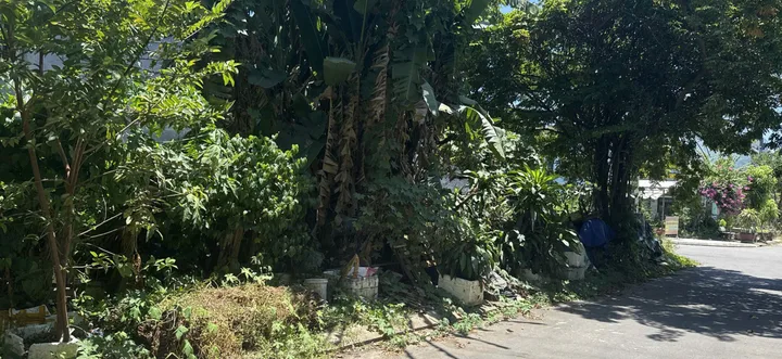 Đất Bàu Mạc 20 gần biển 📌📌📌LÀM VIỆC TRỰC TIẾP GIÁ TỐT !!!