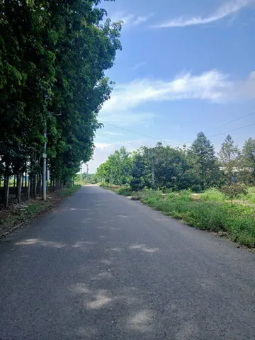 Bán Đất 300m² thổ cư 100m² giá 490 triệu tại Đường DH507 Xã An Linh Huyện Phú Giáo Bình Nhựa an linh PG nay an long Tphcm 
5*60*100tc đất đẹp đường thông- trục chính đối diện ubx vào 
Giá 750trDương