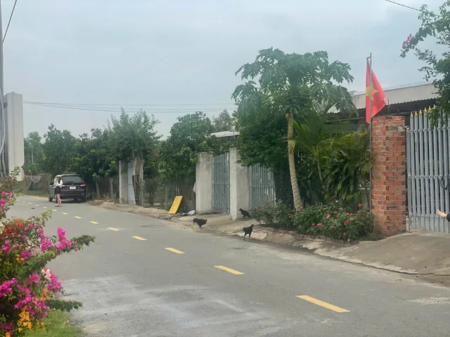 Bán Đất 1500m² thổ cư 100m² giá 960 triệu tại đường ĐT 750 Xã Trừ Văn Thố Huyện Bàu Bàng Bình Dương