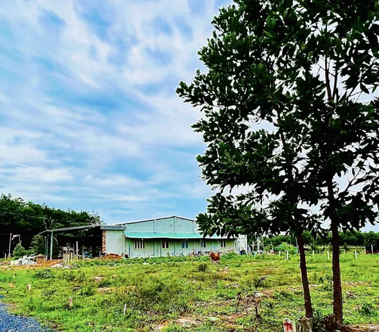 Bán Đất 410m² thổ cư 120m² giá 625 triệu tại Xã Minh Long Thị xã Chơn Thành Bình Phước