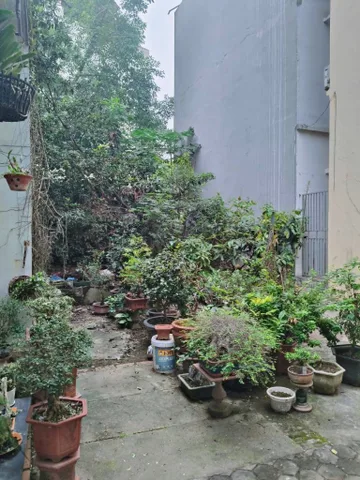 Bán Đất 70m² thổ cư 70m² giá 15.5 tỷ tại Phường Hoàng Mai Hà Nội