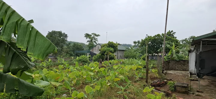 🏡 Chủ nhờ bán lô đất đẹp tại thôn 6, xã Suối Hai, Ba Vì, Hà Nội
