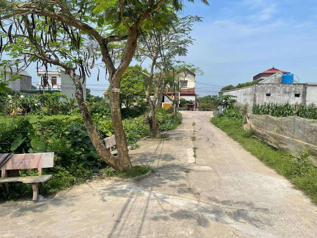 Bán Đất 105m² thổ cư 105m² giá 1.25 tỷ tại Xã Vũ Dương Ninh Bình