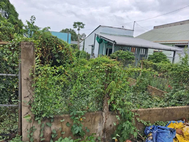Bán Đất 242m² thổ cư 242m² giá 1.3 tỷ tại Thị trấn Đức Hòa Huyện Đức Hòa Long An