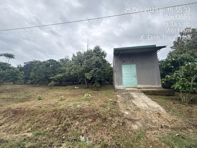 Bán Đất 386m² thổ cư 386m² giá 1.6 tỷ tại Đường Quốc lộ 20 Xã Hòa Ninh Lâm Đồng