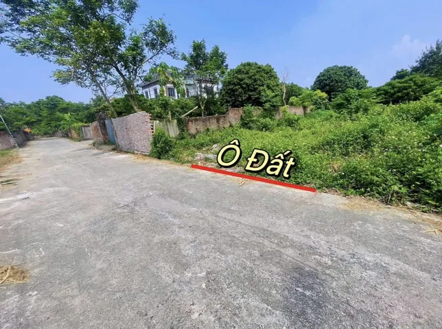 Chính chủ bán gấp lô đất đẹp Hoàng Hoa, Tam Dương DT124,3m MT5m đường ô tô giá chỉ 950tr 0988296228
