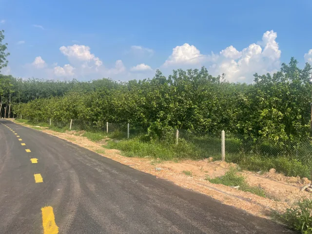 ĐẦU TƯ SINH LỜI — ĐẤT 1.870M² NGANG 17M GIÁ 1,9 TỶ. SAU SÁP NHẬP VÀO TP.HCM TIỀM NĂNG TĂNG CAO. TRỪ VĂN THỐ