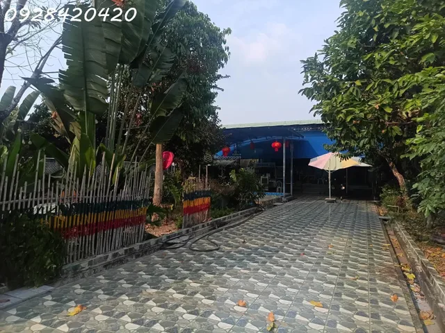 Bán GẤP nhà vườn 6145m full hồng riêng 300m thổ cư hồ bơi, nhà mới chỉ 5 tỷ (giá ngộp)