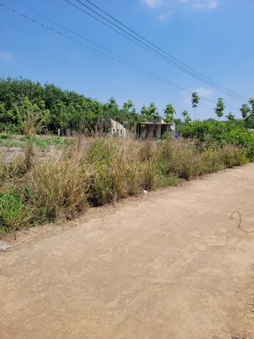 Bán Đất 250m² thổ cư 100m² giá 430 triệu tại Xã Tân Tiến Huyện Đồng Phú Bình Phước