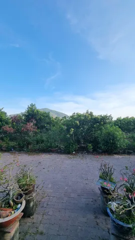 BÁN ĐẤT TÓC TIÊN PHÚ MỸ