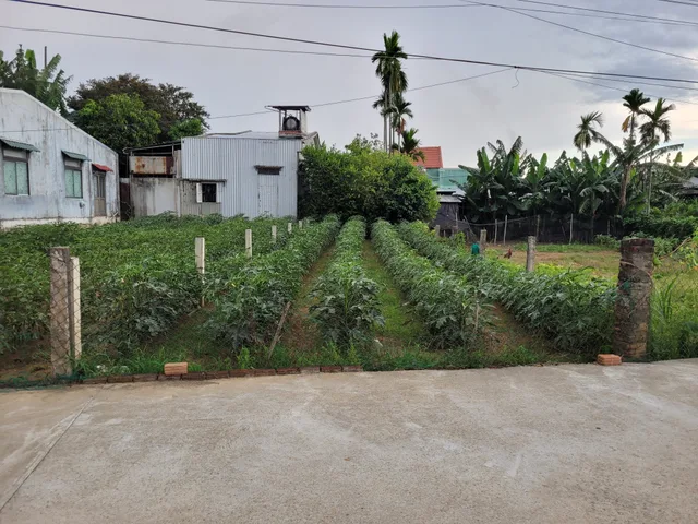 Chính chủ bán lô đất 120 m2 full đất ở, cách đường Hùng Vương 350m (sau lưng UB xã Nam Phước mới)
