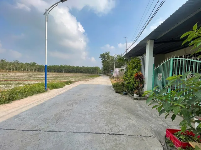 Vỡ Nợ Cần Bán Đất 500m² thổ cư 200m² giá 470 triệu tại Đường Nhựa Xã Long Nguyên Huyện Bàu Bàng Bình Dương