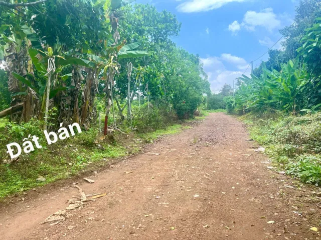 Bán Đất 500m² giá 890 triệu tại Phường Bình Lộc Đồng Nai