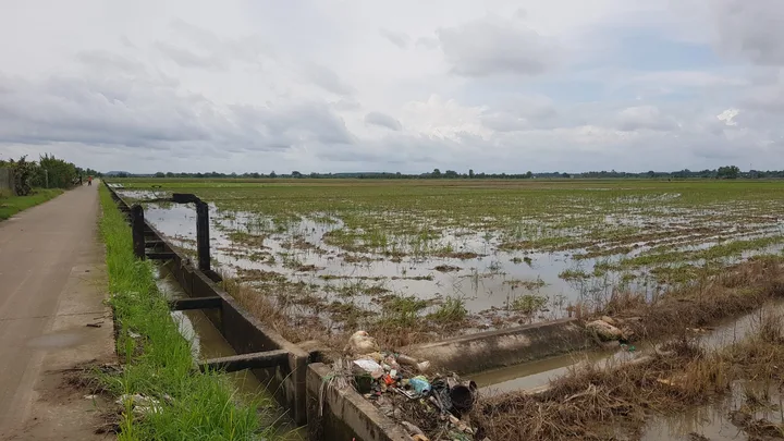 Bán Đất 4322m² giá 800 triệu tại Xã Tân Phú Đồng Nai