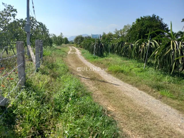 Bán lô đất 1,6 sào xã Hàm Liêm , Huyện Hàm Thuận Bắc tỉnh Bình Thuận giá 1,8 tỷ SHR