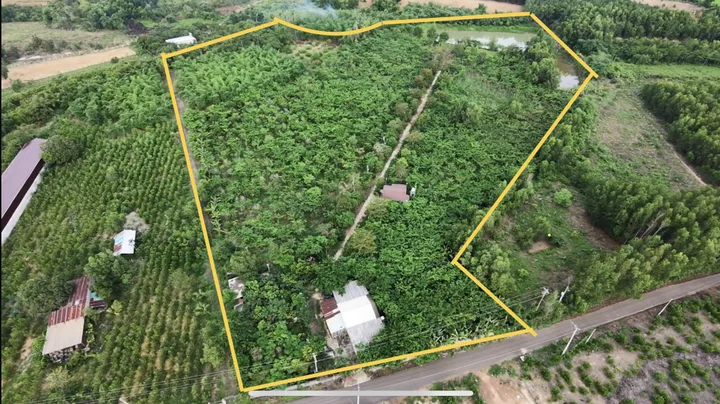 Hơn 3.4ha vườn cây ngay Phước Tân, vị trí và giá cả cực đẹp