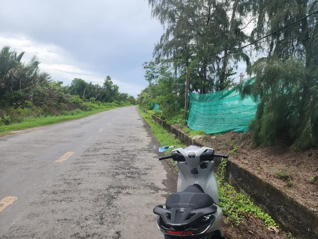 Bán Đất 20000m² thổ cư 300m² giá 260 triệu tại Đường Nam Sông Hậu Xã Trung Bình Huyện Trần Đề Sóc Trăng