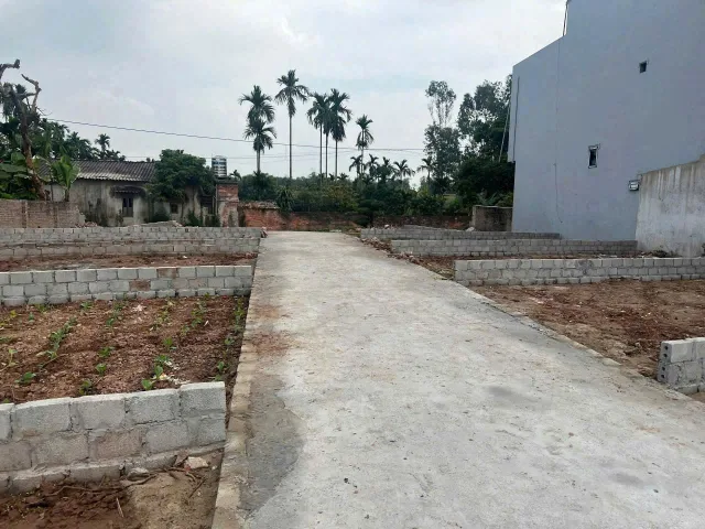 Bán Đất 45m² thổ cư 45m² giá 1.65 tỷ tại Xã Đại Xuyên Hà Nội