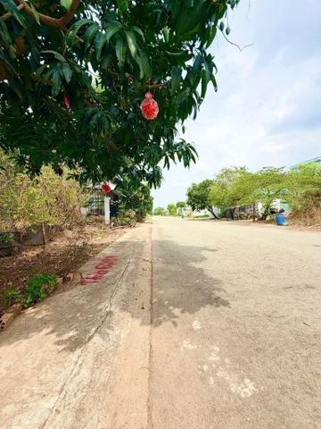 Bán Đất 250m² thổ cư 100m² giá 570 triệu tại Đường Đh.605 - Đường Loại 4 Phường Mỹ Phước Thị xã Bến Cát Bình Dương