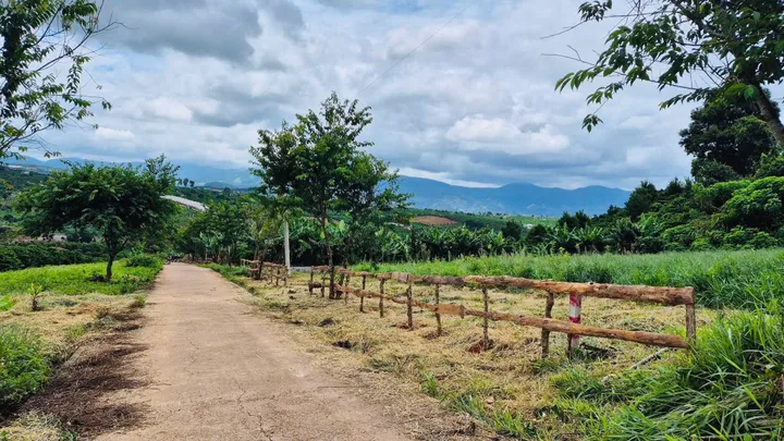 Bán Đất ngay trung tâm Xã Nam Hà chỉ 200m ra đường nhựa lớn. DT: 50x22.6m. Có TC 100m. Giá 1.2 tỷ . View đẹp