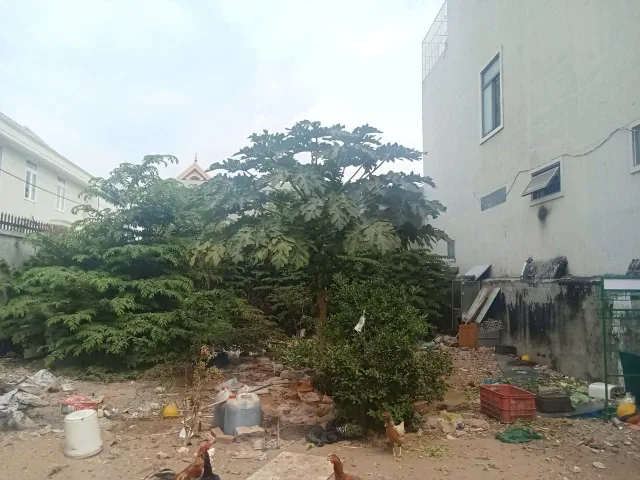 Bán Đất 2077m² thổ cư 2077m² giá 12.9 tỷ tại Đường Trần Xuân Độ Phường Thắng Nhì Thành phố Vũng Tàu Bà Rịa - Vũng Tàu