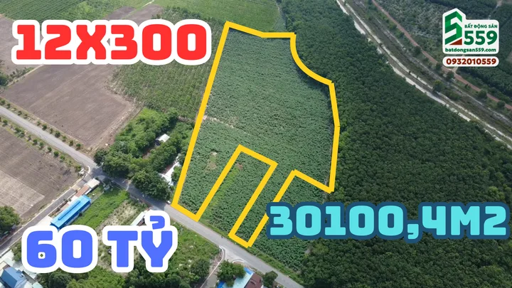 Chính chủ bán đất lớn có sẵn thổ cư tại xã Cây Trường 2, huyện Bàu Bàng, Bình Dương