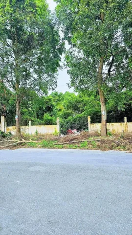 Bán Đất 400m² thổ cư 400m² giá 8 tỷ tại Đường số 11 Phường Hưng Phú Quận Cái Răng Cần Thơ