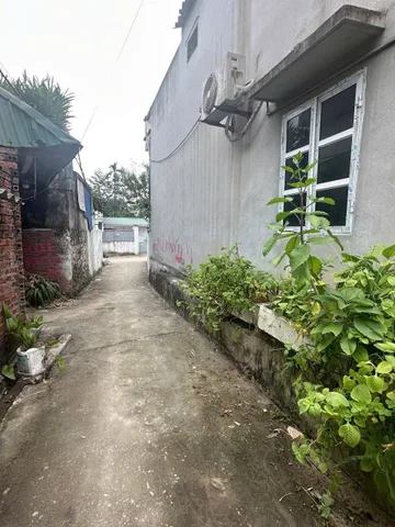 Bất động sản tiềm năng tại Phụng Châu