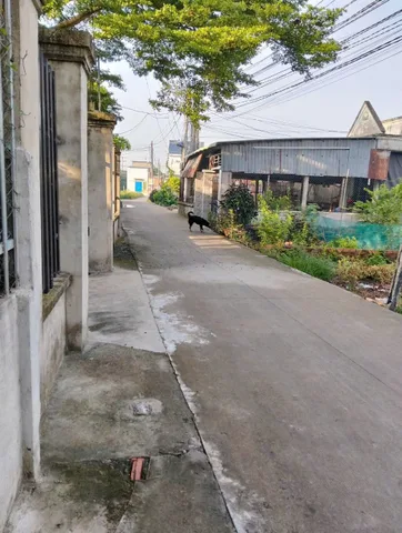 Bán Đất ấp 5 Đức Hoà Đông 
- DT: 10x18 
Giá chỉ 1ty6 
. Đường bê tông sạch đẹp , nền cao ráo thông thoáng