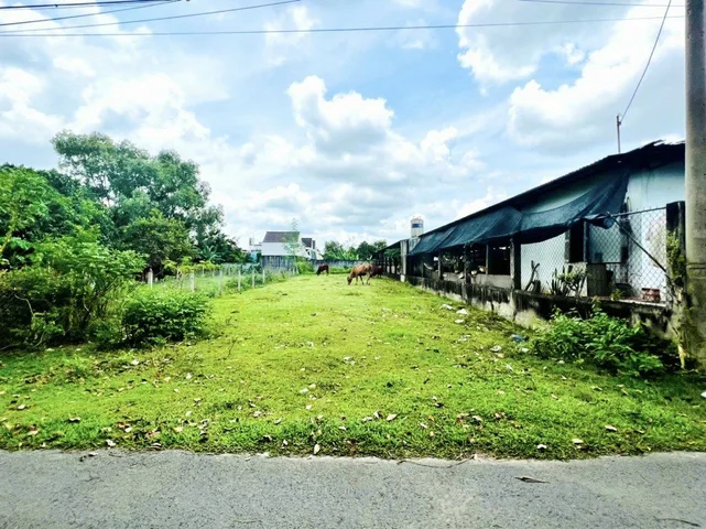 BÁN NHANH LÔ ĐẤT MT TRƯNG NHỊ, TRẢNG BÀNG, 300M2, SHR, 795TR