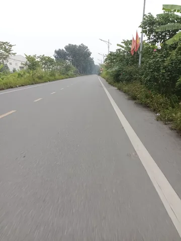 ĐẤT THỔ CƯ SÁT KĐT PHÚ MỸ HƯNG ĐƯỜNG TỈNH LỘ GIÁ CHỈ BẰNG 1/3 ĐẤT KĐT XUNG QUANH