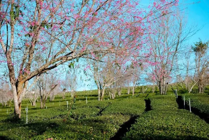 bán đất tân  văn lâm hà 3400m2 view cực đẹp, ô tô tận nơi